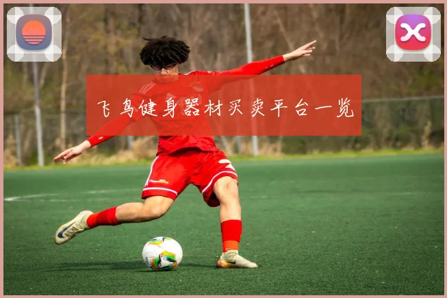 飞鸟健身器材买卖平台一览