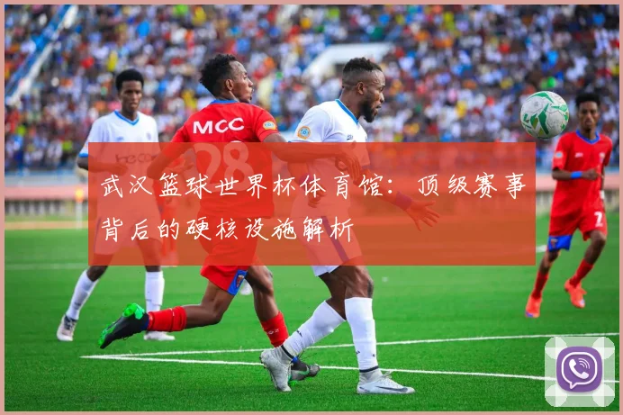 武汉篮球世界杯体育馆:顶级赛事背后的硬核设施解析