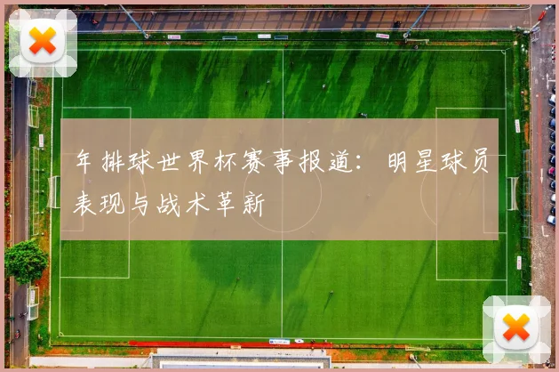 年排球世界杯赛事报道:明星球员表现与战术革新
