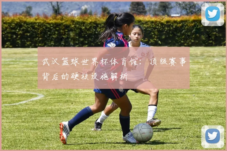 武汉篮球世界杯体育馆：顶级赛事背后的硬核设施解析