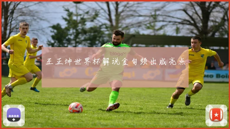 王正坤世界杯解说金句频出成亮点