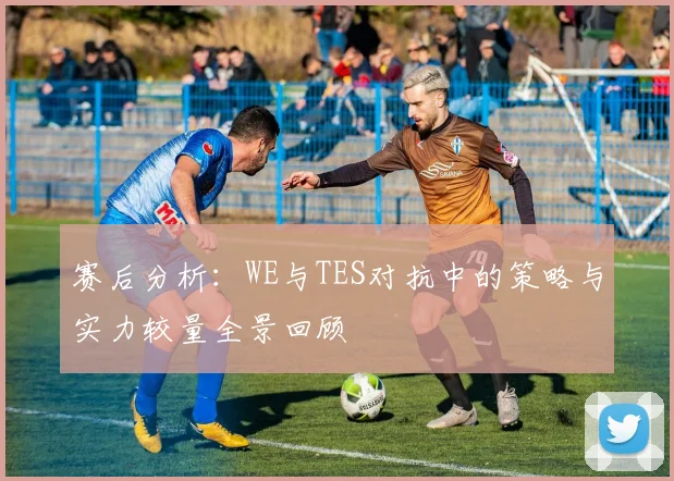 赛后分析:WE与TES对抗中的策略与实力较量全景回顾