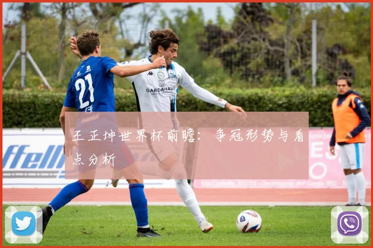 王正坤世界杯前瞻:争冠形势与看点分析